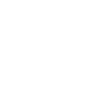 Stamford University Bangladesh White Logo